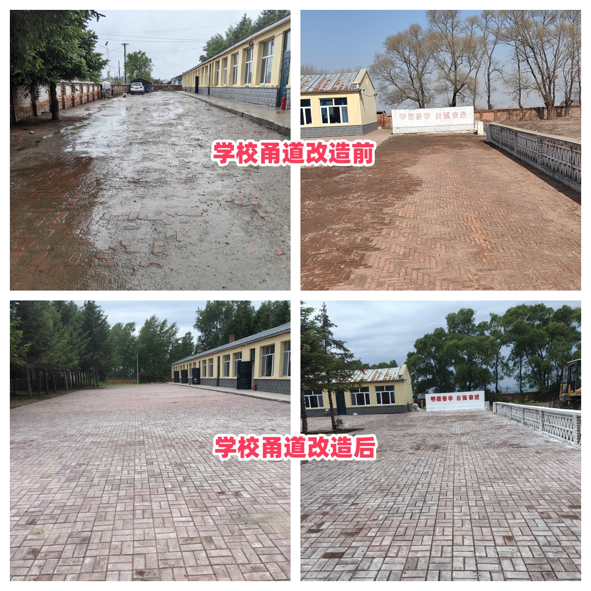 第254所 黑龙江巴彦县黑山镇民乐村时博在线官网（中国）官方网站侯玉霞学校